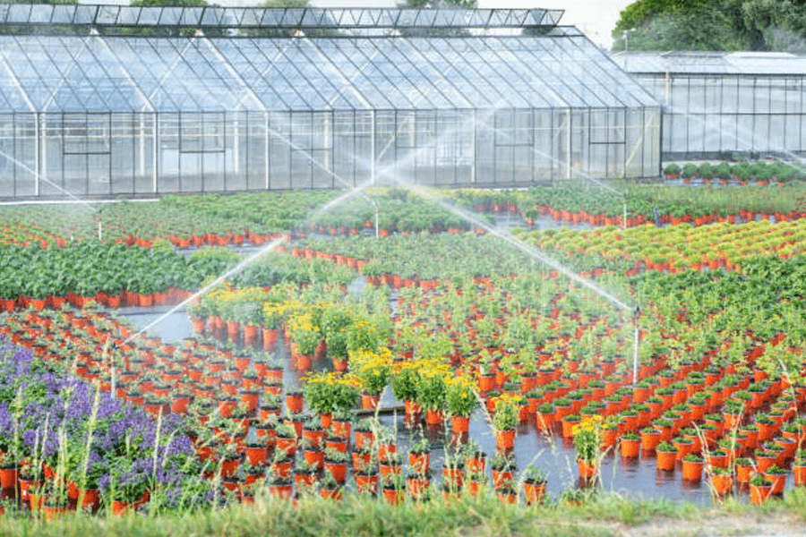 automatic watering system for greenhouse