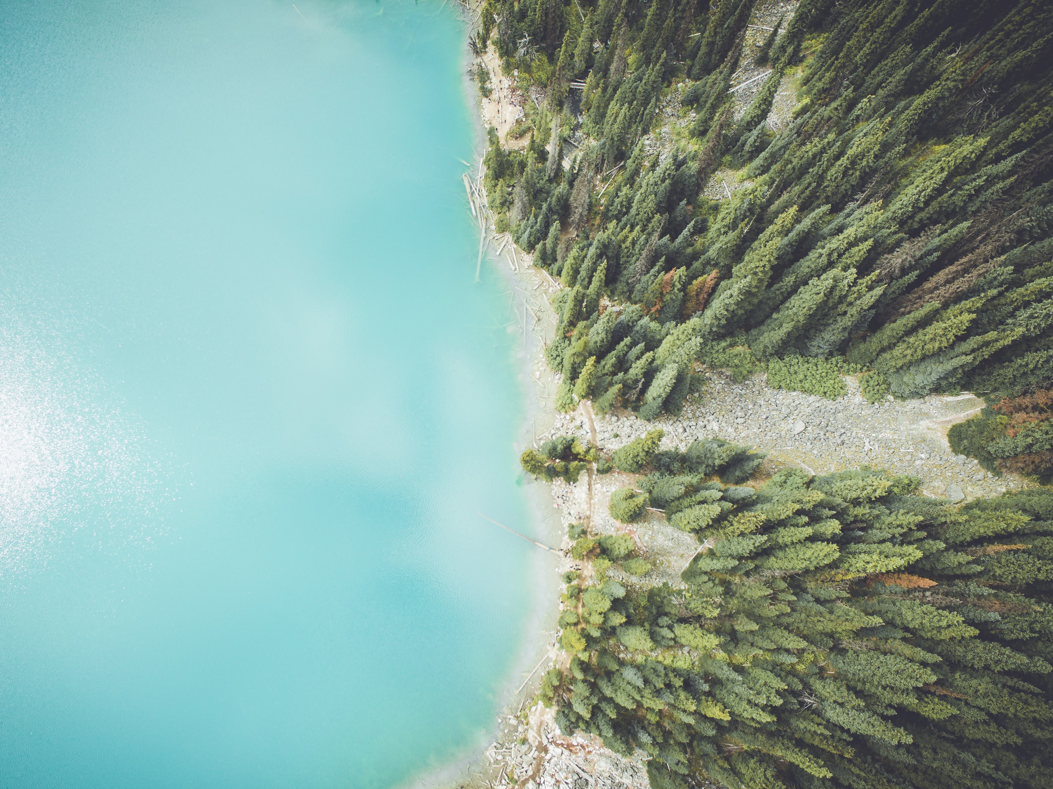 Clear lake and shoreline