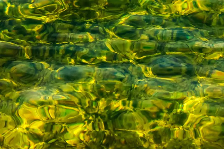 Ultrasonic Algae Control for Golf Courses
