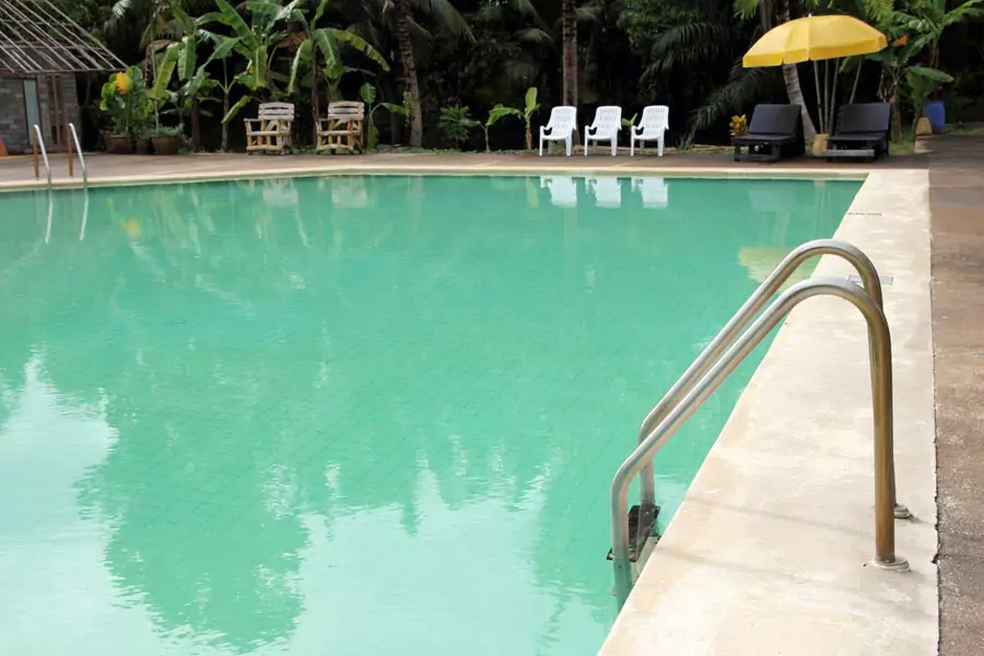 Mustard algae in pool treatment