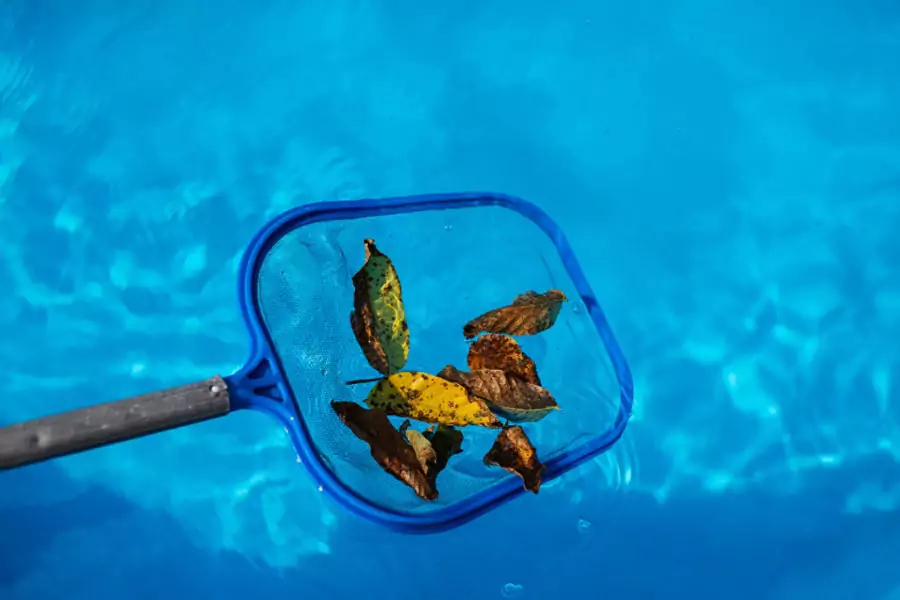Pool Algae Treatment