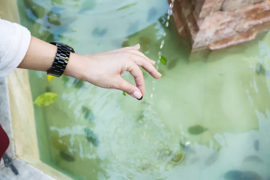 Algae treatment in ponds