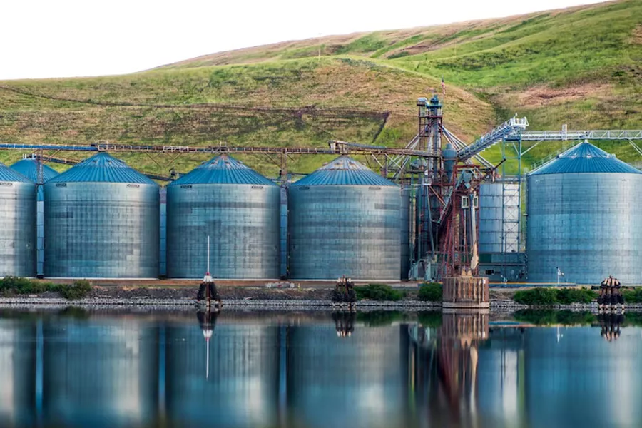 Ultrasonic algae treatment