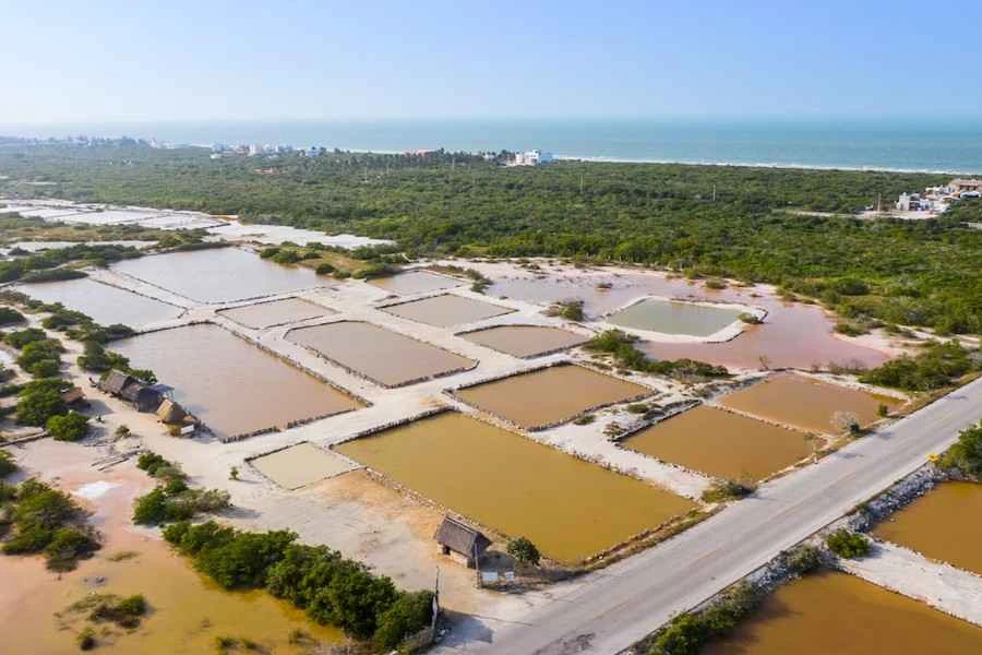 Oxygen Management Strategies for Shrimp Farms