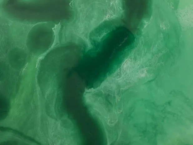 Clear lake and shoreline
