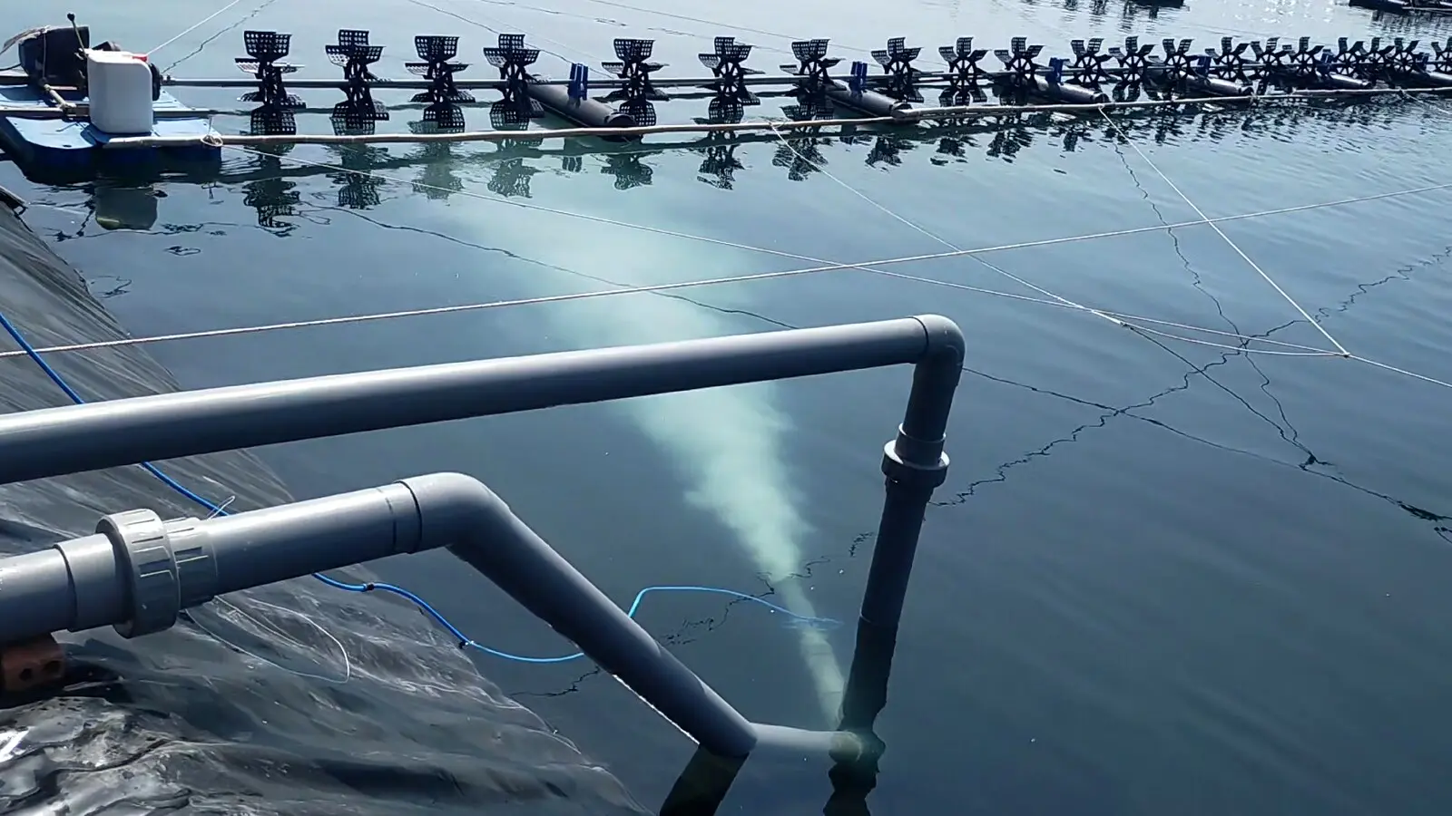 A real shore-fed Puroxi nano bubble system operating in an aquaculture pond.