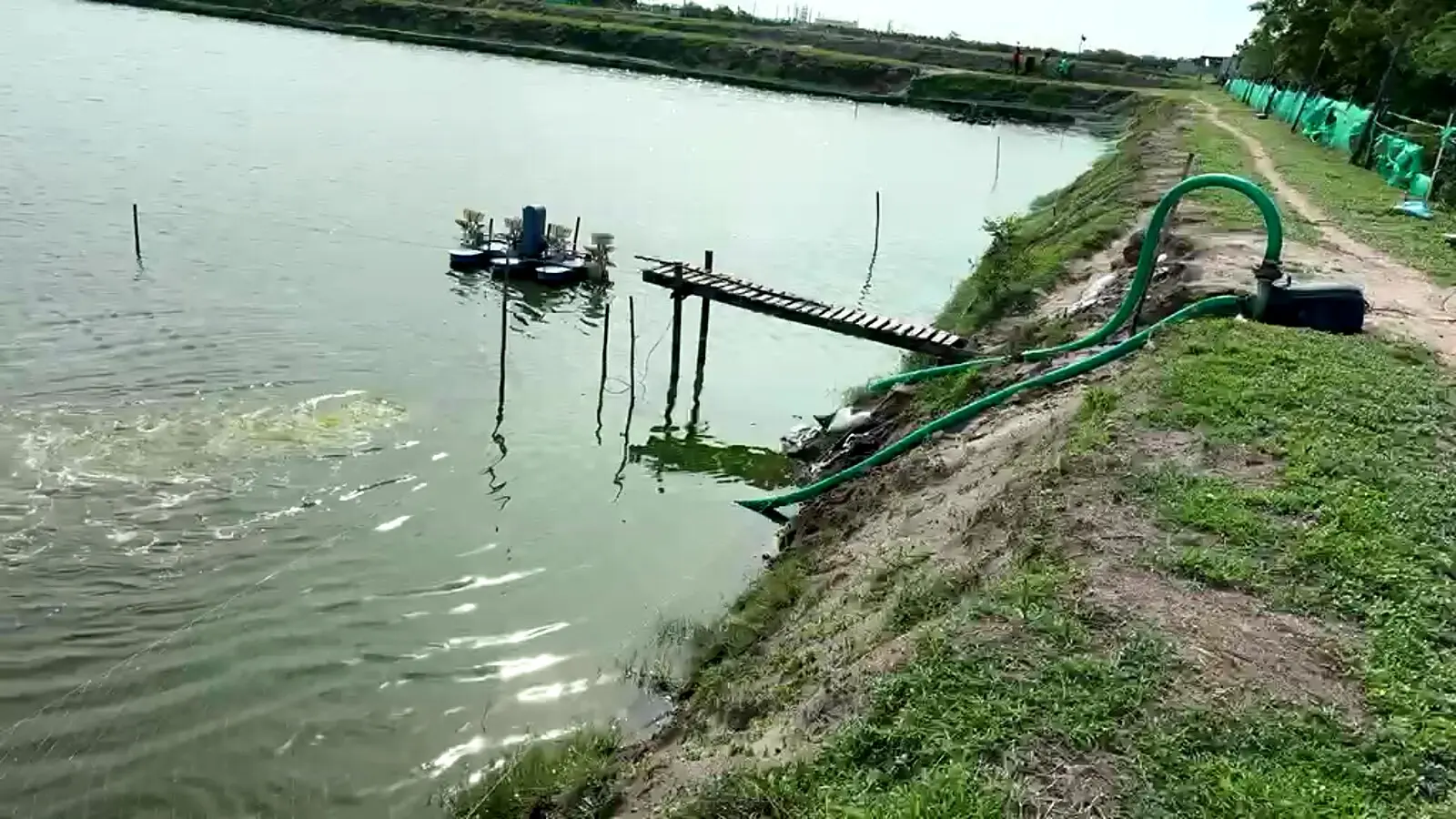 A real pond installation showing the shoreline, circulation equipment and treatment area.